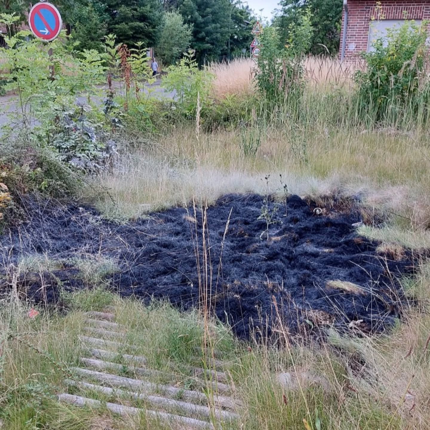 https://feuerwehr-merzenich.de/uploads/2025/07/05%20Fl%C3%A4che%20B%C3%BCrgewald/515859444_17983666028839051_7687847185065477404_n.jpg