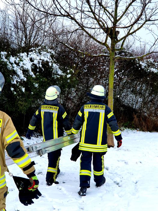 https://feuerwehr-merzenich.de/uploads/J2021/01/24%20Katze/141919164_1574088059443369_4462361191004645556_o.jpg